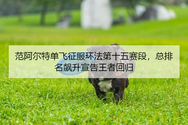 fan-a-er-te-dan-fei-zheng-fu-huan-fa-di-shi-wu-sai-duan-zong-pai-ming-biao-sheng-xuan-gao-wang-zhe-hui-gui-2-358.jpg